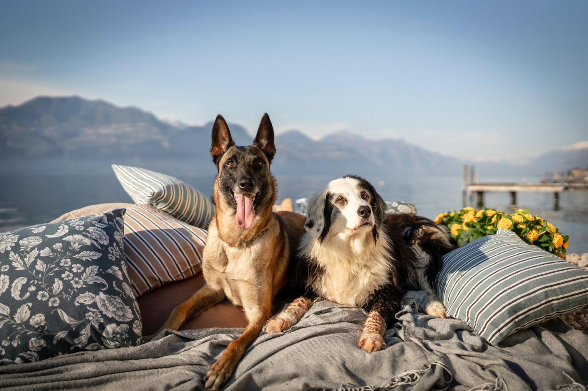 Casa Vacanze Monte Galetto Bussolengo Esterno foto